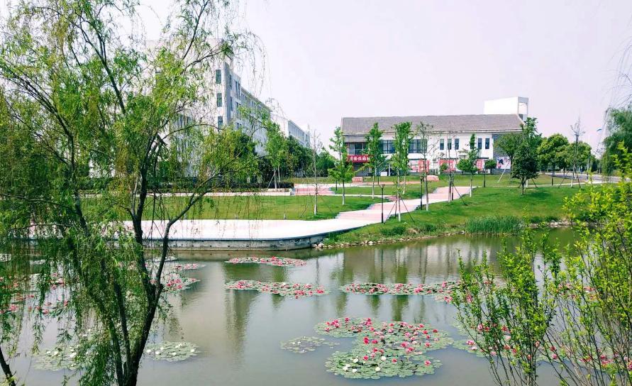 安徽四所虚假大学曝光！人民日报点名，考生需警惕