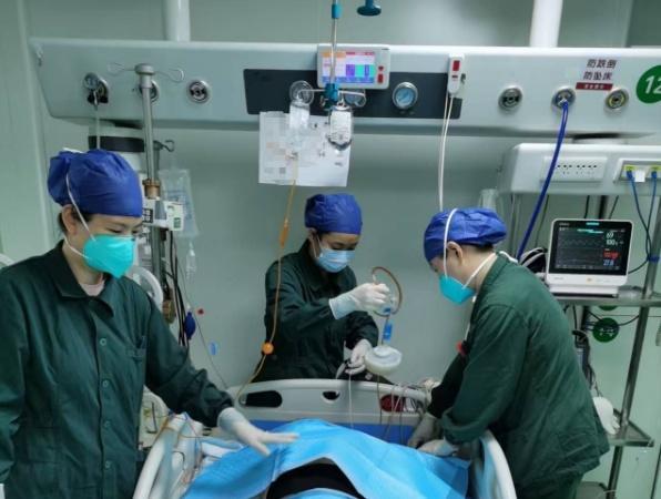 武汉女子田间误踩马蜂窝致器官衰竭！秋季蜂蜇伤高发需警惕