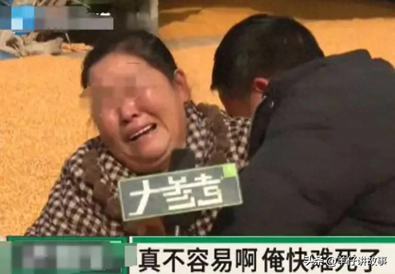 农民卖粮28万被冻结事件追踪：骗子账号曝光，小麦下落查明