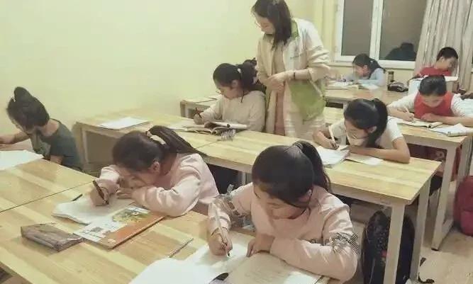 老实家长必看：小学阶段隐藏的教育真相大揭秘