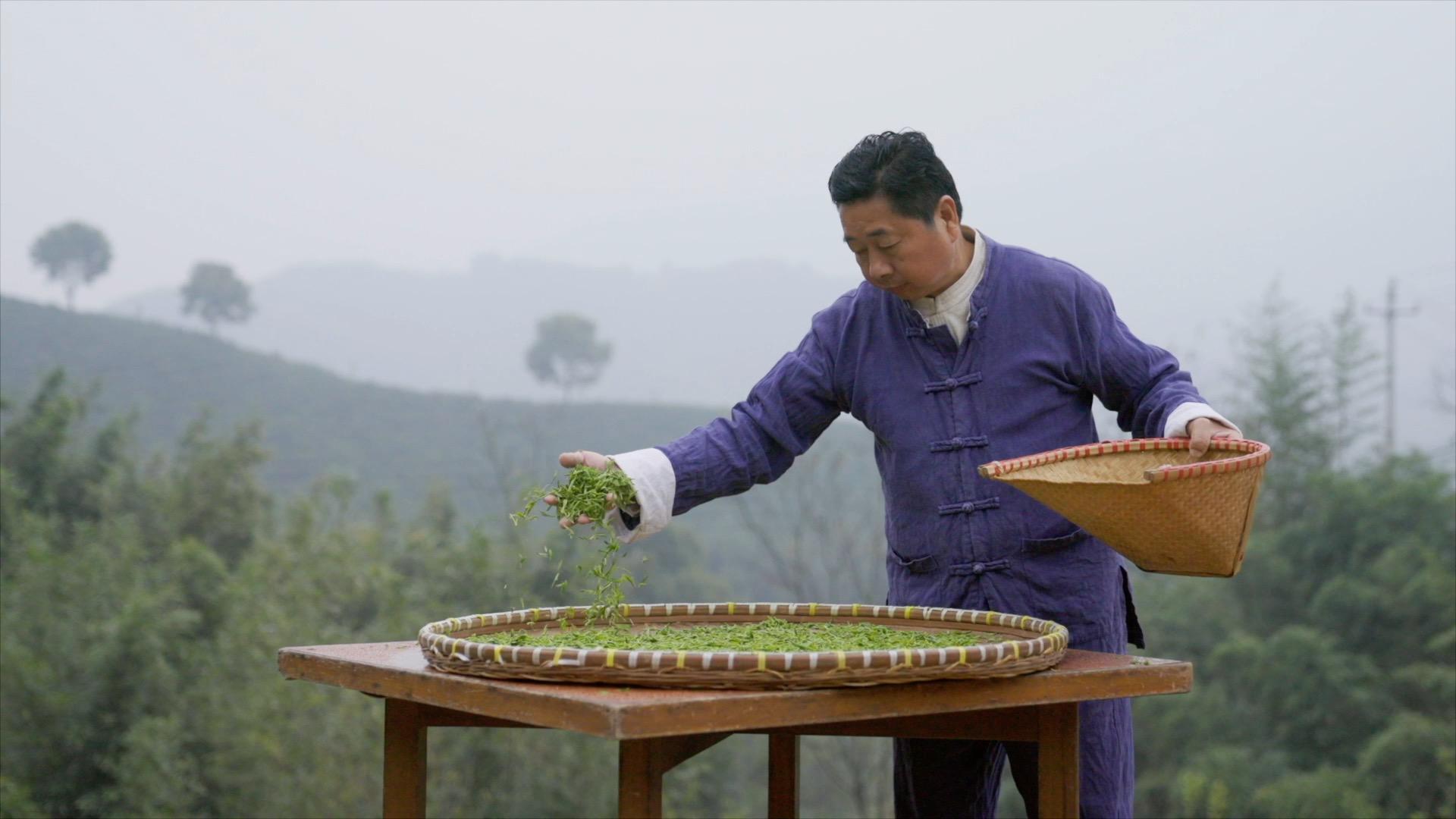 新华视点｜《大径山》第三集：归人——径山茶复兴与文化传承