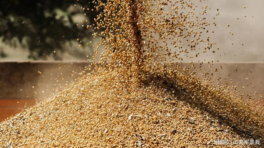 中粮集团本周购入18万吨美国大豆，背后有何深意？