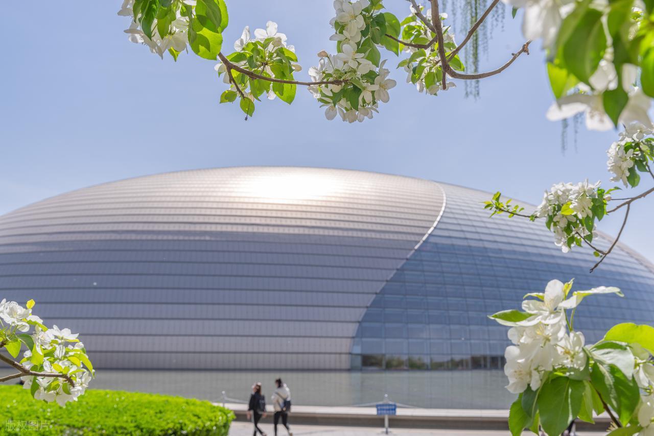 合伙人6揭秘：卜纪华不正当竞争手段曝光