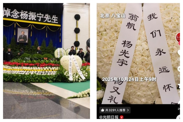 杨振宁葬礼长子杨光诺缺席，或已病逝美国，曾深圳换肺