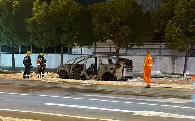 高端电车安全隐忧：接连起火引发消费者信任危机