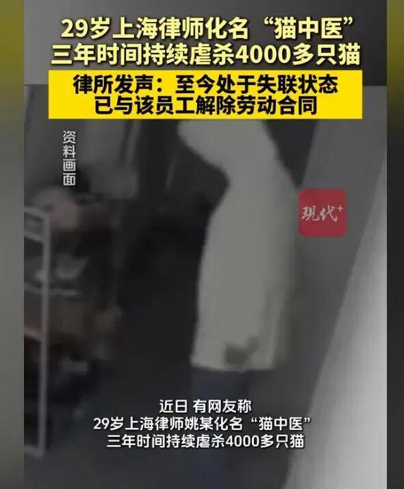 上海律师三年虐杀4000只猫，变态行径引发全网愤怒