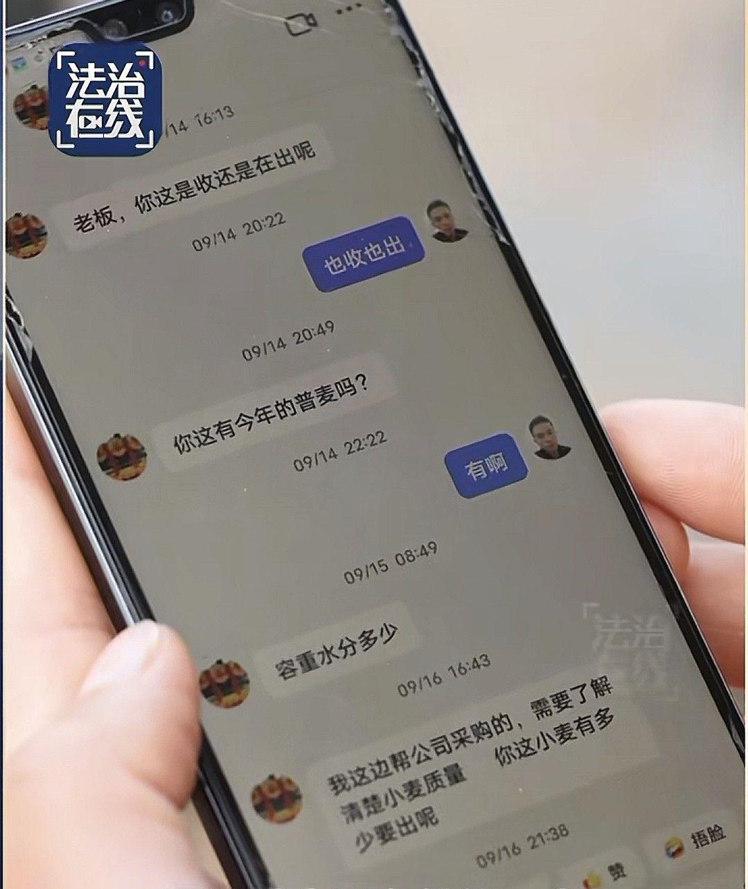 孙先生与购粮骗子聊天记录截图