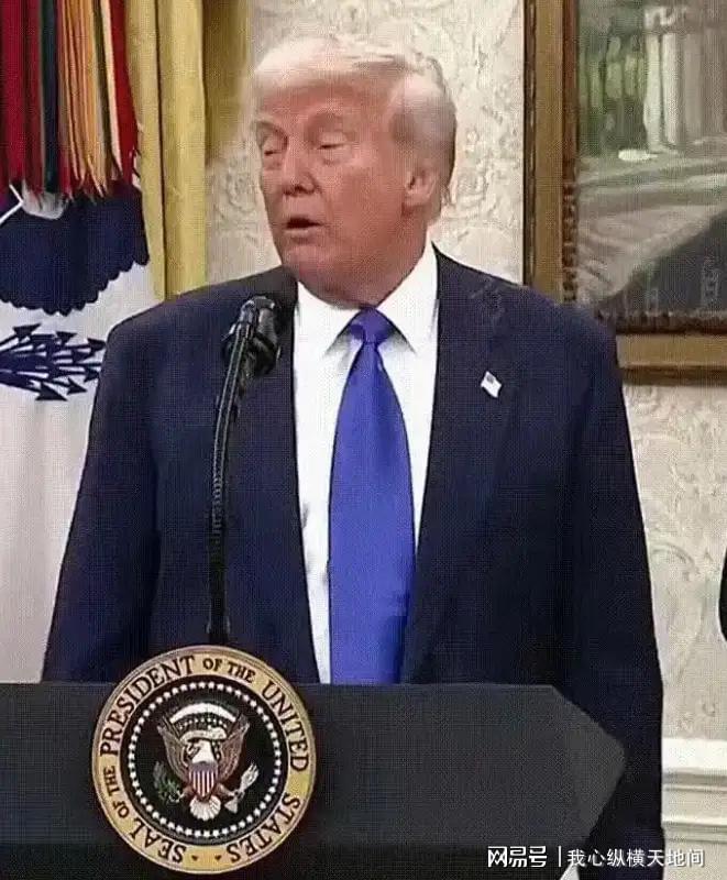 特朗普言论引热议：法国二战贡献与五常席位之争