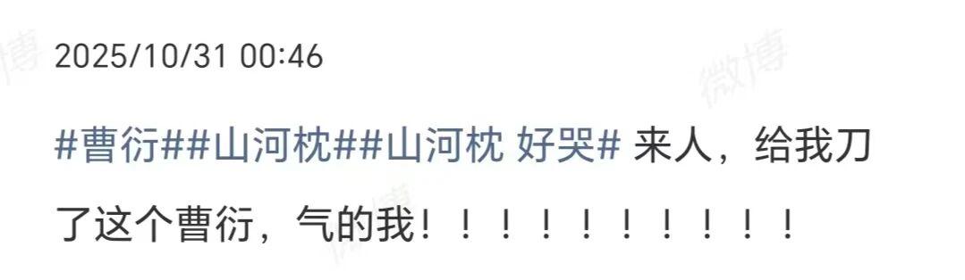 山河枕 卫家军战死