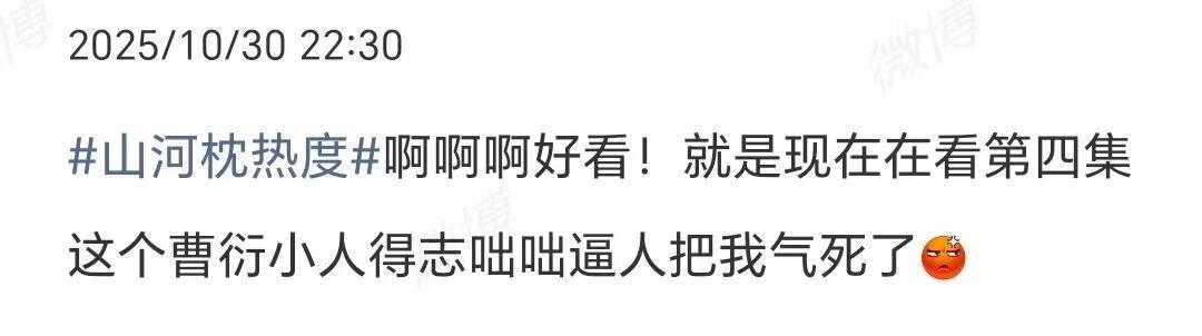 山河枕 曹衍嚣张