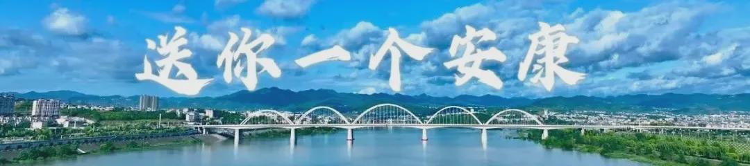 《许你一个安康》斩获2025陕西微短剧优秀案例奖