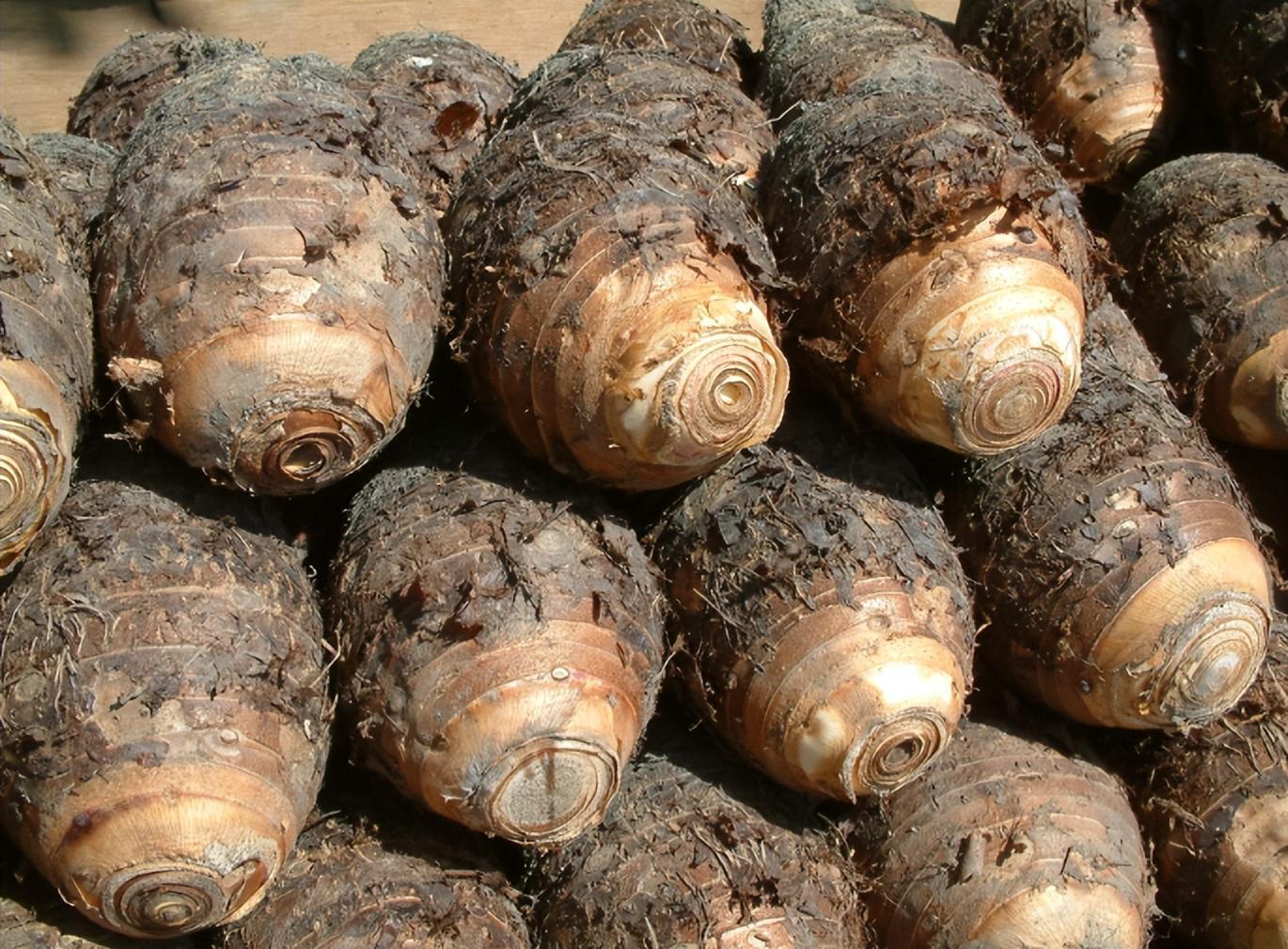 芋头竟是慢性病克星？医生揭秘：这4类人常吃好处多