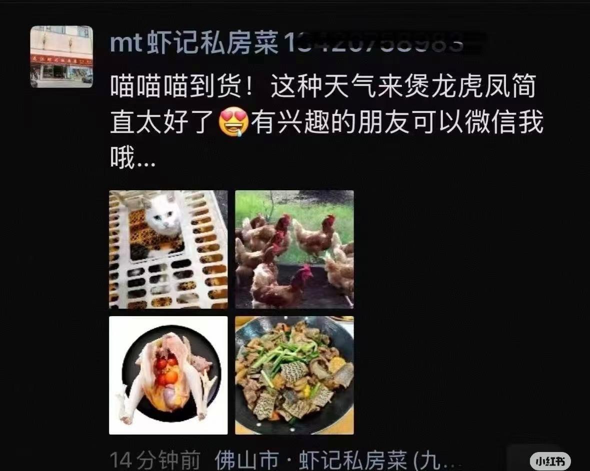 广东佛山一私房菜馆被曝宰杀活猫 当地多部门介入联合调查