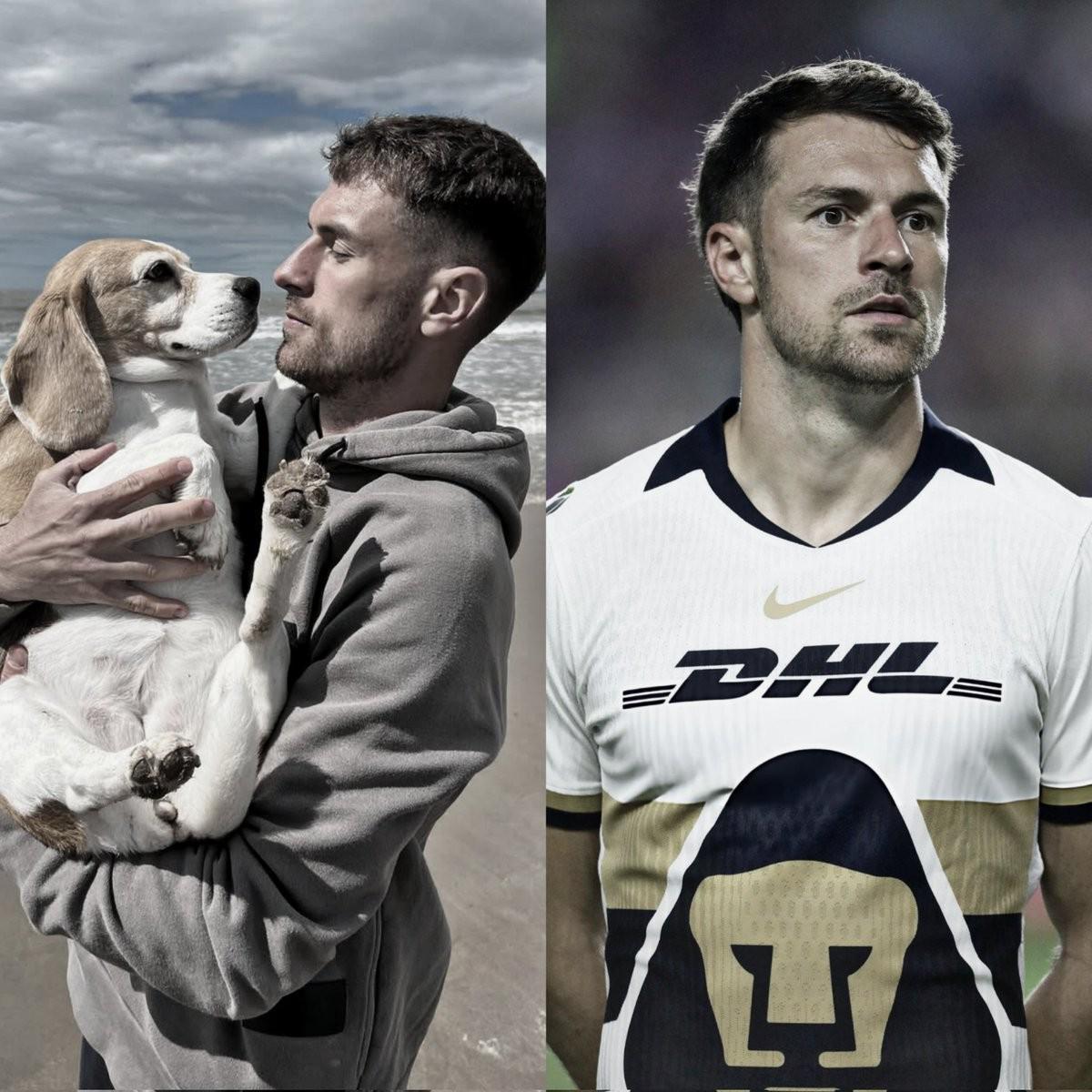 爱犬走失致拉姆塞提前解约 离开墨西哥美洲狮俱乐部