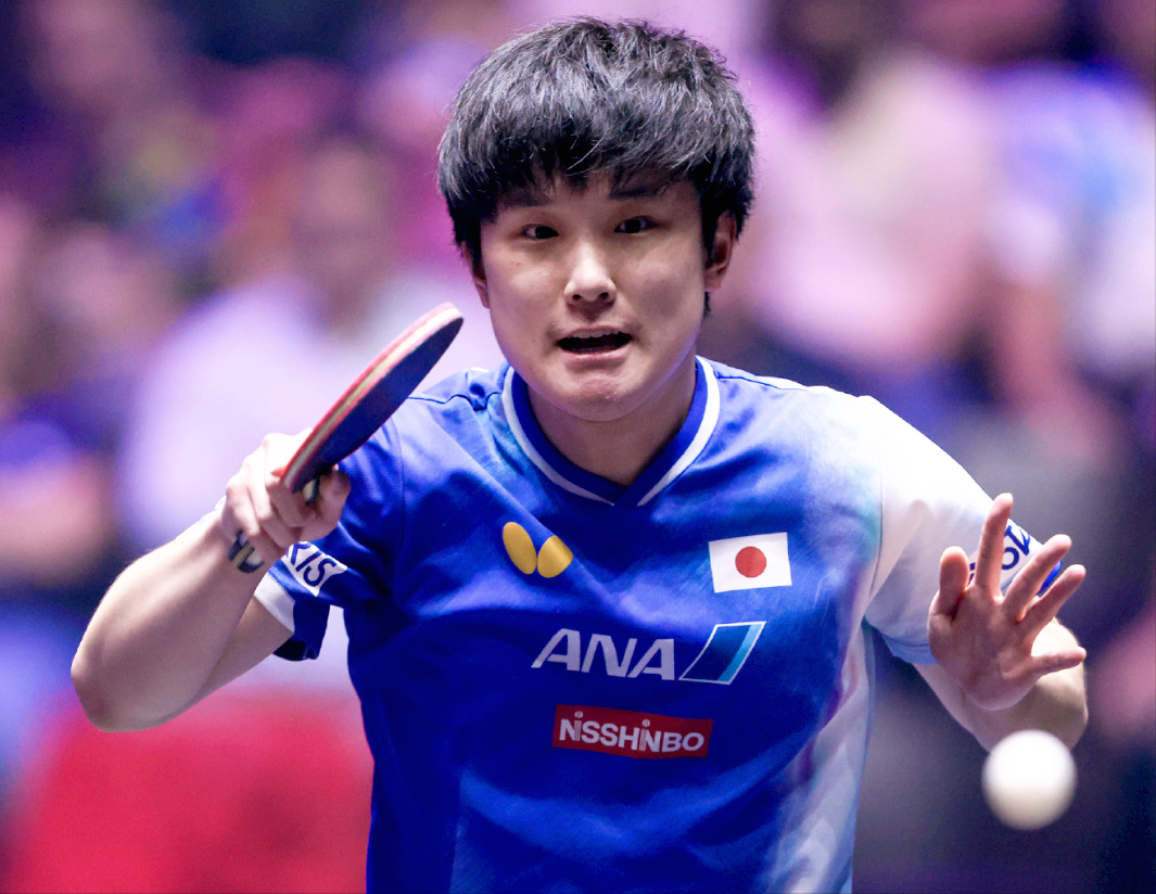 WTT蒙彼利埃冠军赛男单8强出炉：张本智和2-0领先遭逆转，大勒布伦上演惊天翻盘