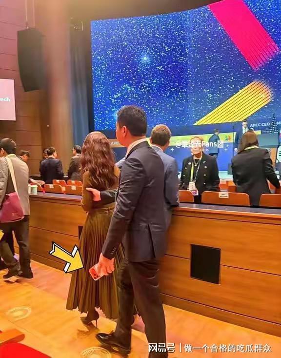 刘强东章泽天APEC同框引热议：56万爱马仕包与特朗普会面甜笑
