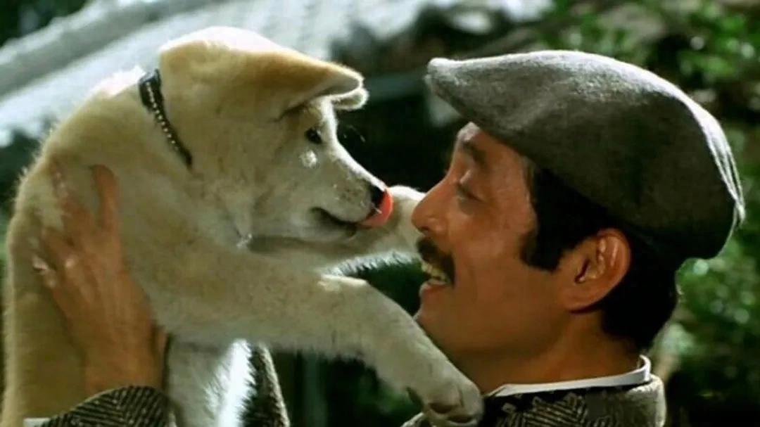 一只狗，拯救了好莱坞的脸面，这部“年度最佳”，真牛