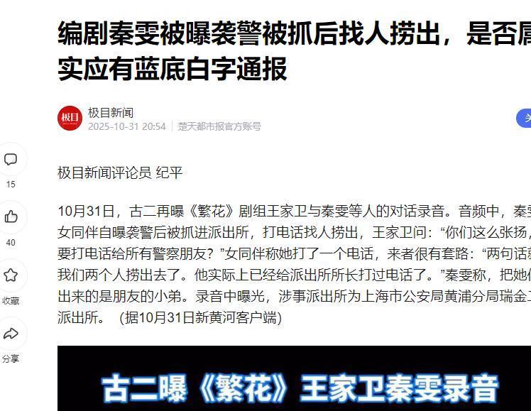 秦雯录音门事件证据图