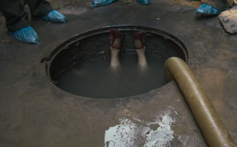 《树影迷宫》爆火背后：廖凡演技炸裂，张可盈颜值吸睛，刘琳衣品惊艳