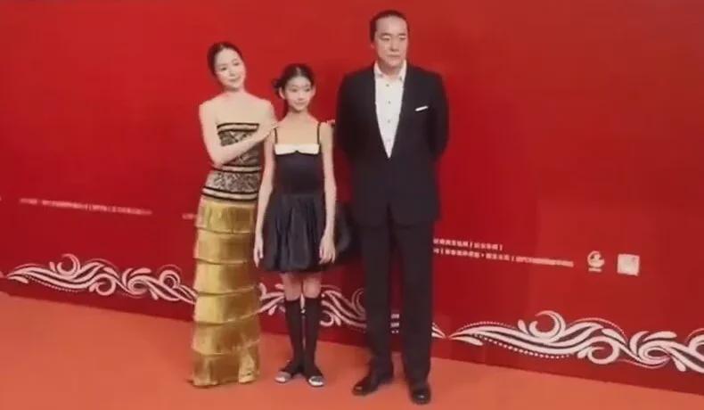 江一燕赵汉唐红毯照