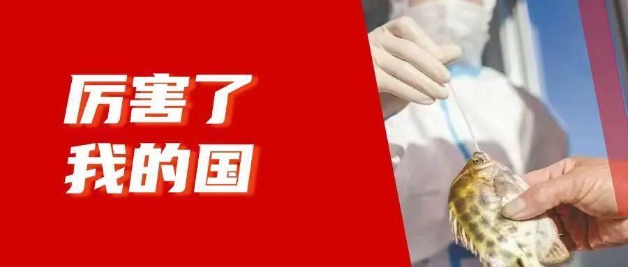 《大明王朝1566》里隐藏的秘密，你看懂了吗？