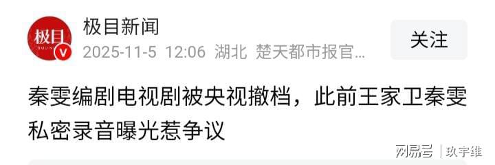 央视紧急撤档秦雯新剧，编剧争议或致其事业终结