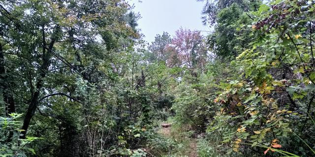 老年夫妻沉默场景