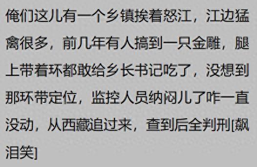 网友揭秘：那些令人毛骨悚然的真实离奇案件