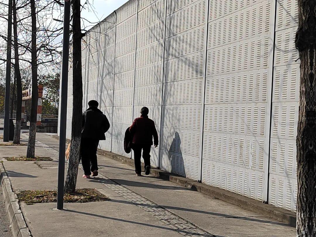 20万存款背后的创业陷阱：盲目跟风如何毁掉普通人？