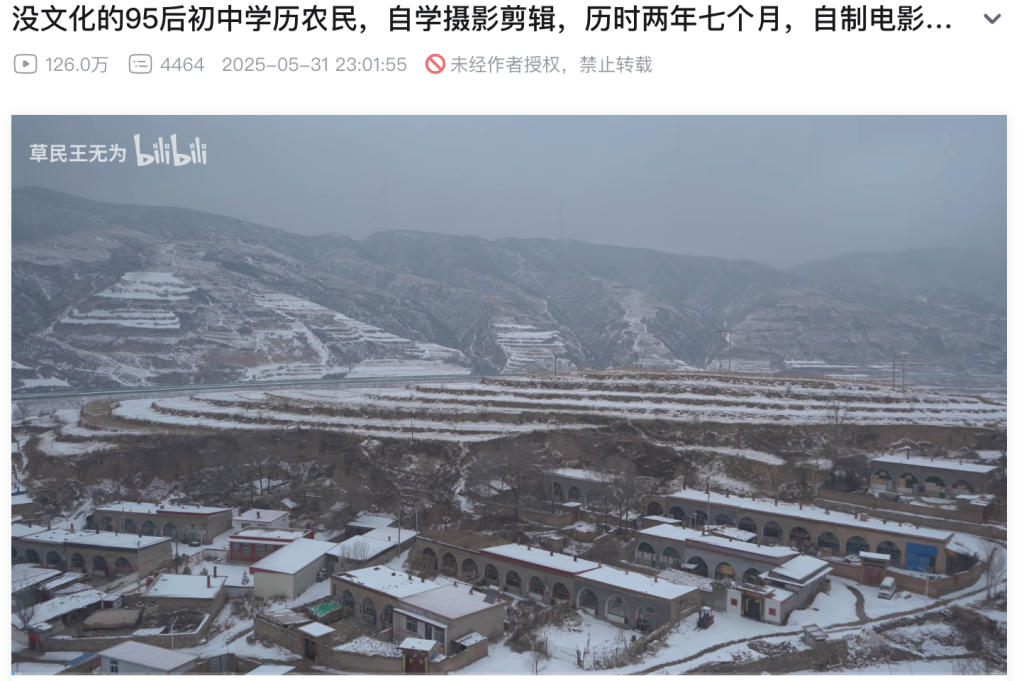 治愈网友的回村青年，治愈不了自己