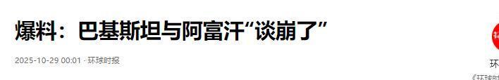 环球时报报道截图