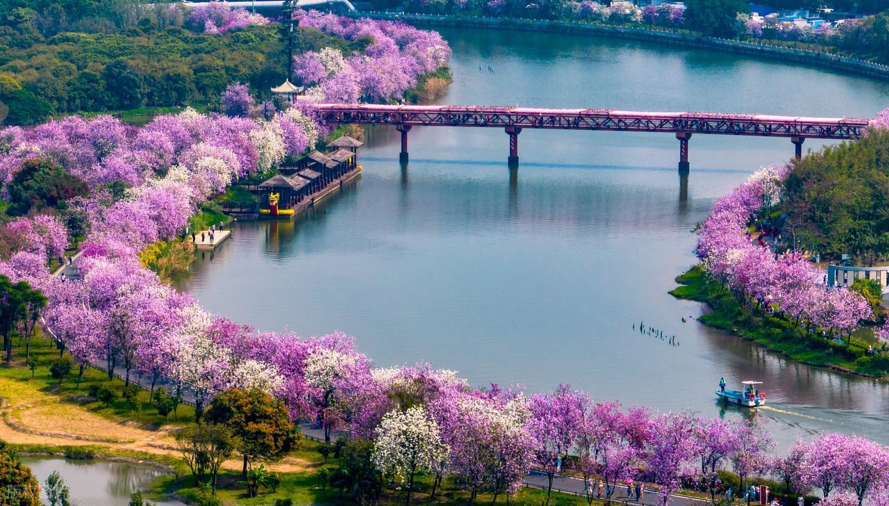 虎落平阳5：徐刚遭遇张红岩强势索赔