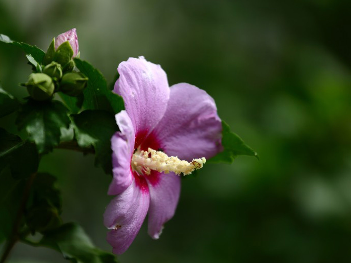 11月财运大爆发！这三大生肖上半月稳，下旬狂赚，速看是否上榜