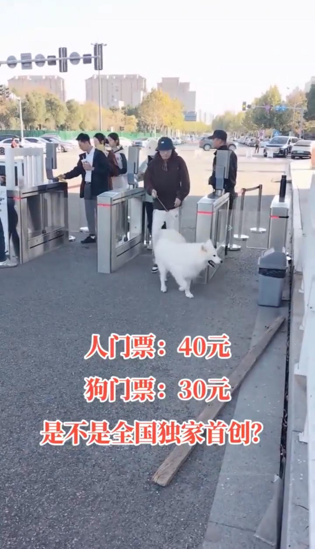 浙江4A景区对宠物狗收30元门票引热议，景区回应：含专属游玩项目