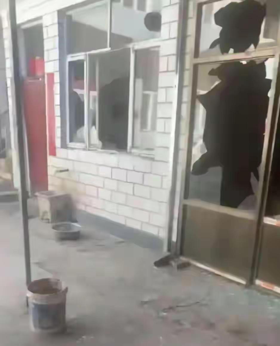 狗咬人反杀案深度解析：区政协委员赵春晖行为引发争议