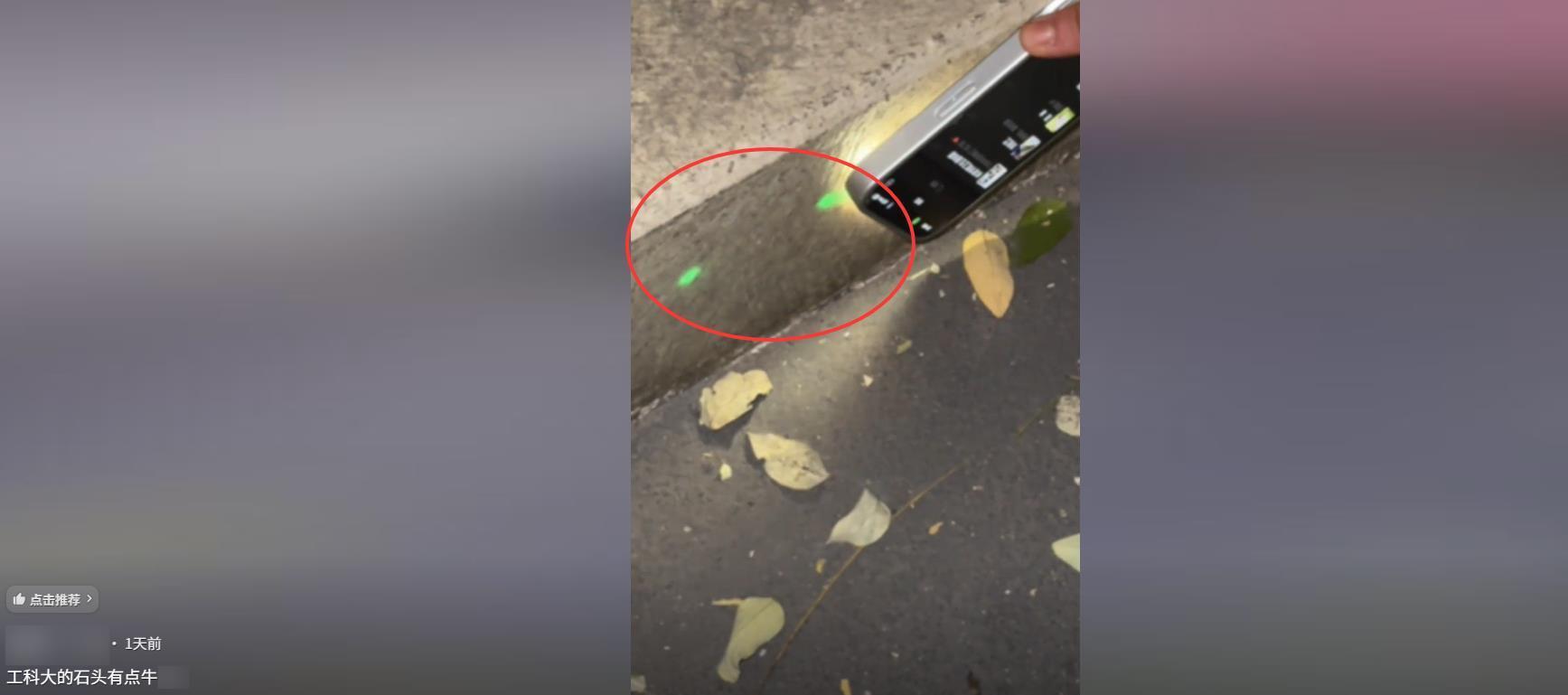 山西高校绿化带石阶夜间现荧光绿，校方回应或含金属成分