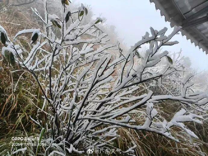 广东气温骤降至零下1度！广州最低温及未来天气预测