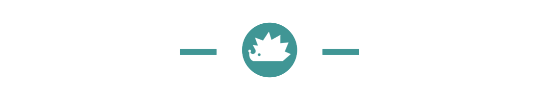 《新闻女王》第二季：内娱为何难出“金句女王”现象级作品？