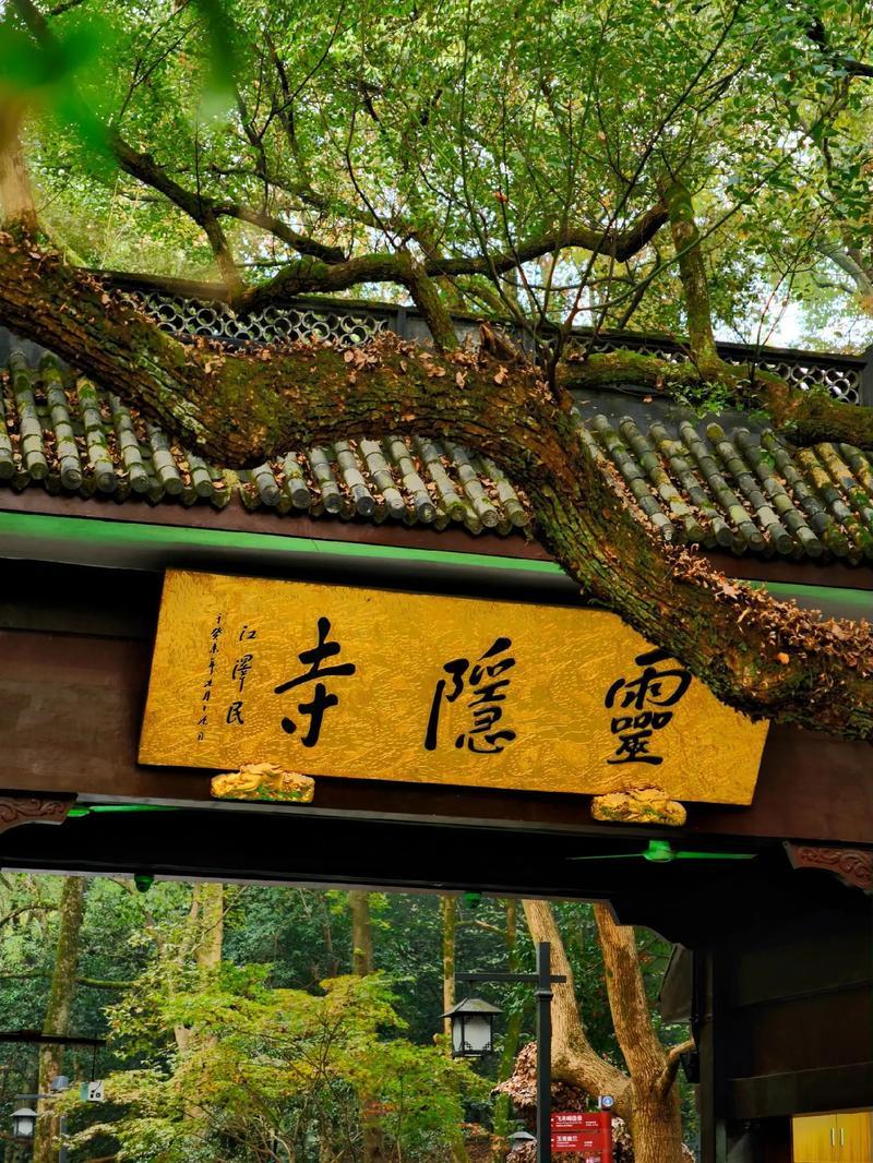 杭州灵隐寺2025年起免门票，游览需实名预约