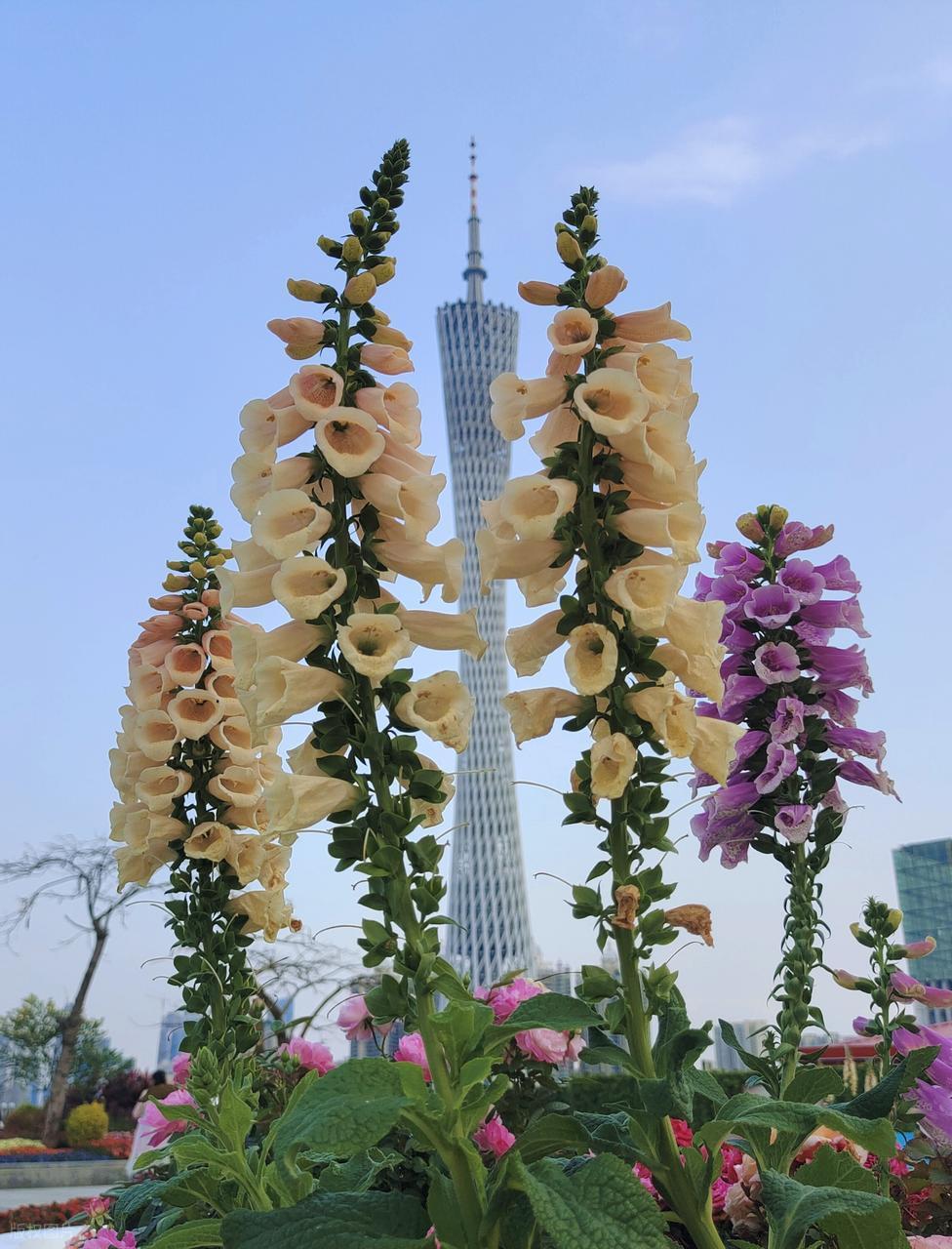 江湖梦5：徐刚与王平河的惊险行动计划