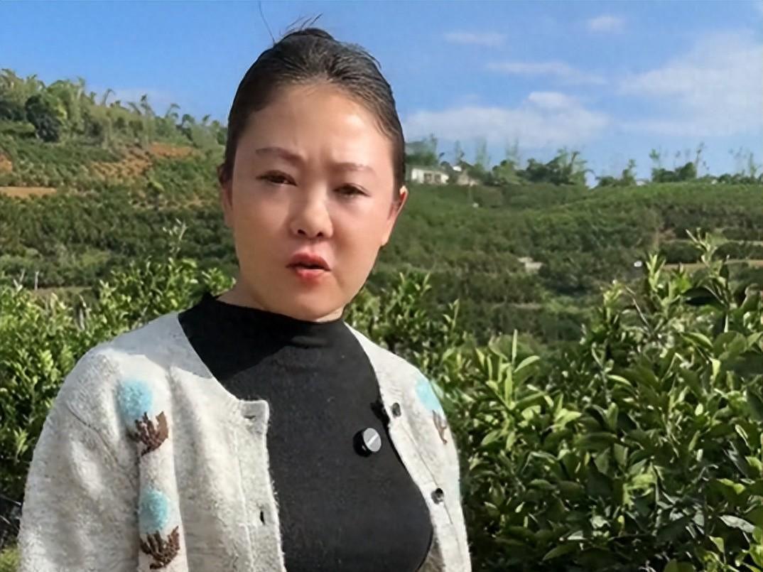 河北商家云南收冰糖橙被骗后续：代办身份曝光，官方通报处理进展