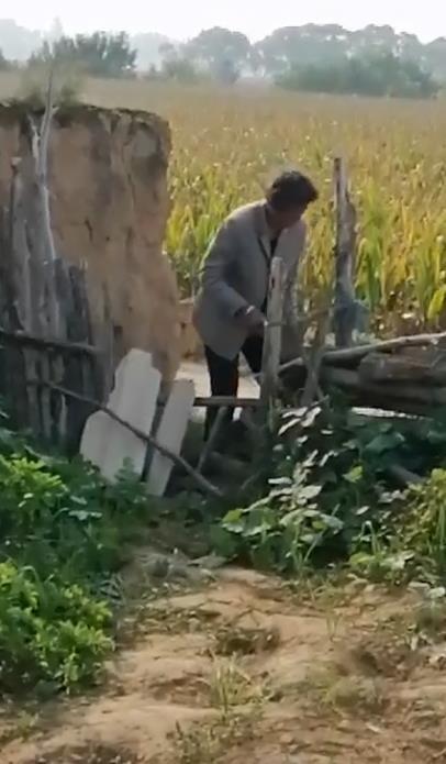 陕西榆林女子拍亲姑姑偷玉米遭姑父棍杀，邻居报警亦遇害，案件未宣判