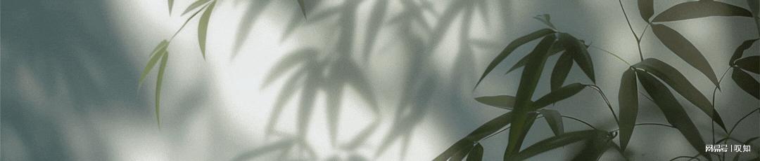 67岁赖岳谦遭台独打压后获大陆高校重用，两岸大势不可逆