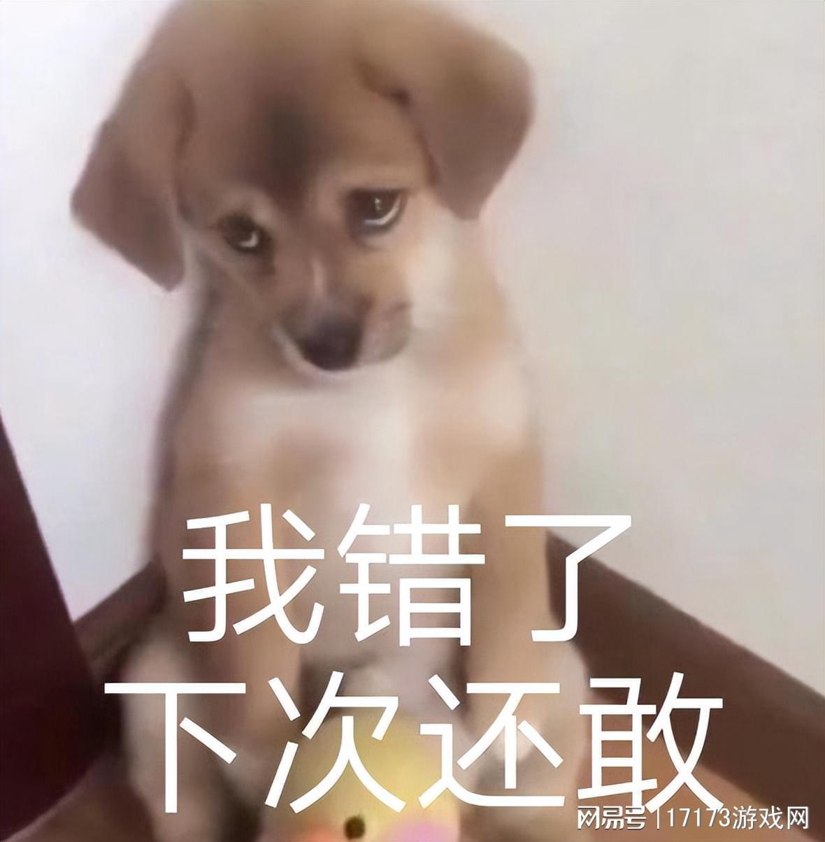 腾讯《三角洲行动》更新引50万差评，策划致歉玩家不买账