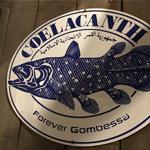 《冒险家艾略特的千年物语》TGS试玩深度解析：浅野组的塞尔达式新作