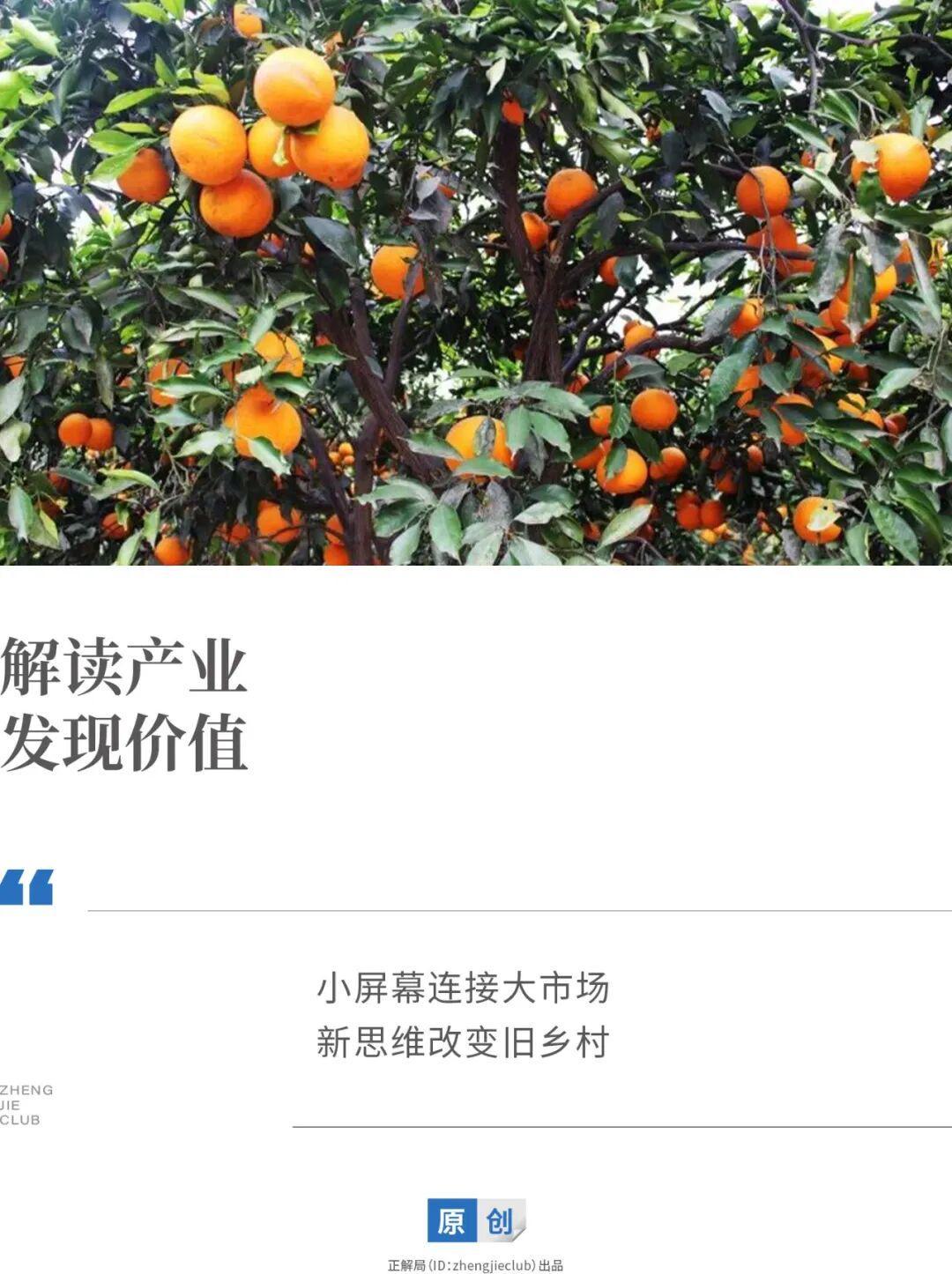 一部手机带出千万产值，这届村干部用数字魔法盘活乡村