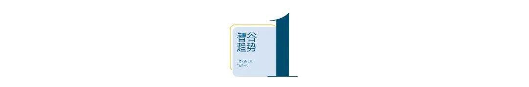 1500万返乡人：走出大山，为什么又重返大山