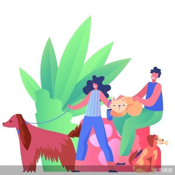 宠物企业业绩分化：自主品牌崛起与海外代工困境