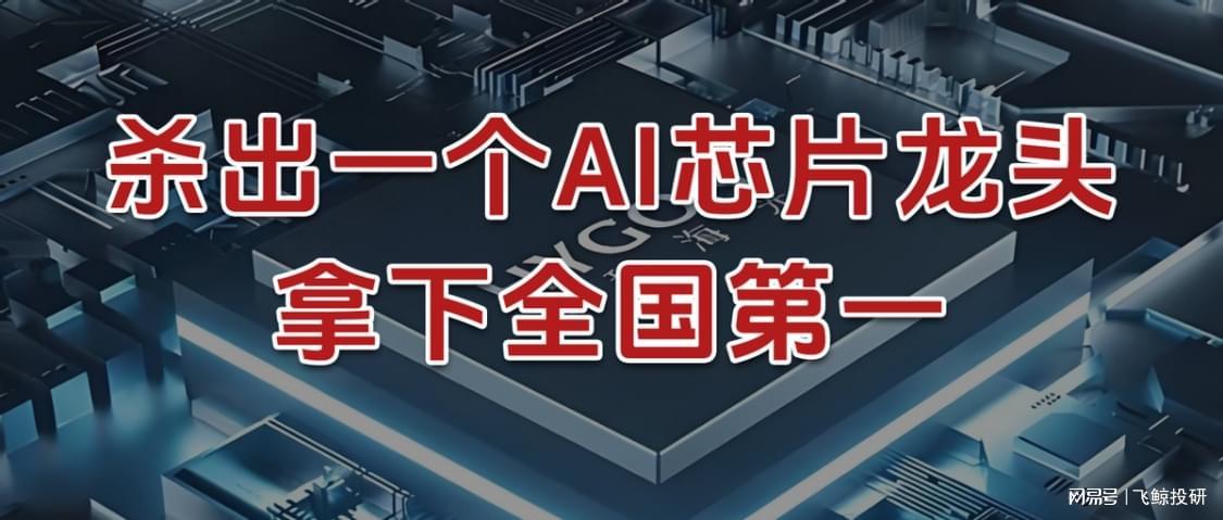 AI芯片新龙头崛起！海光信息登顶国内市场第一