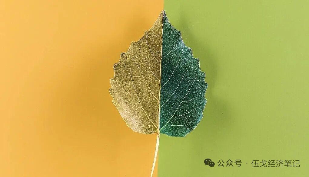 伍戈经济洞察：反内卷与化债、财政转型的深层逻辑